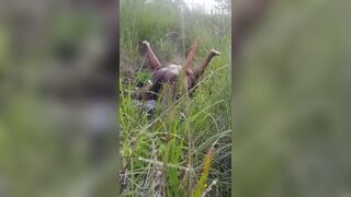 Caught Fucking In The Bush