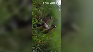 Caught Fucking In The Bush