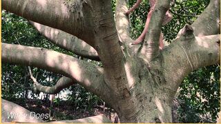 Wifey Saw A Tree And Had To Climb It But Forgot Her Panties