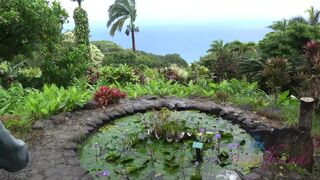 Virtual Vacation In Hawaii With Rachel James Part 4