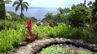 Virtual Vacation In Hawaii With Moka Mora Part 5