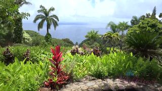 Virtual Vacation In Hawaii With Moka Mora Part 5