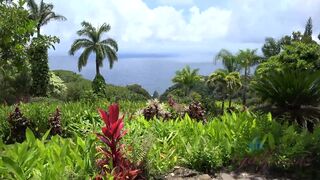 Virtual Vacation In Hawaii With Moka Mora Part 5