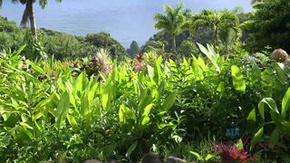 Virtual Vacation In Hawaii With Rococo Royalle Part 5