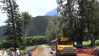 Virtual Vacation In Molokai With Emma Evins Part 2